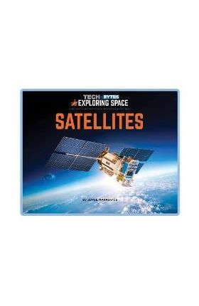 Satellites - Joyce Markovics