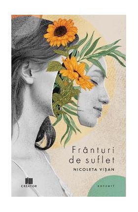 Franturi de suflet - Nicoleta Visan