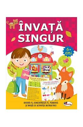 Invata singur 6 ani+