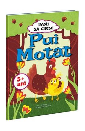Invat sa citesc. Pui Motat