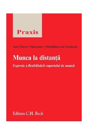 Munca la distanta - Ana-Maria Vlasceanu, Madalina-Ani Iordache