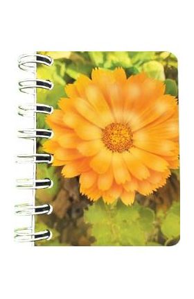 Carnet cu spirala: Floare portocalie. Neliniat