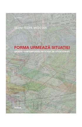 Forma urmeaza situatiei - Silviu-Teofil Medesan