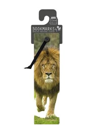 Semn de carte 3D: African Lion