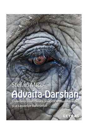 Advaita-Darshan. O vedere non-duala asupra sensului vietii - Stefan Mico