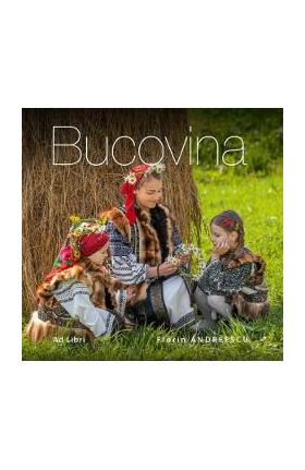 Bucovina - Florin Andreescu