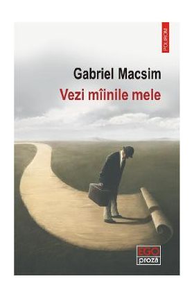 Vezi miinile mele - Gabriel Macsim