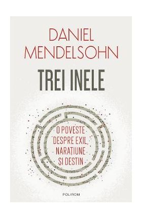 eBook Trei inele. O poveste despre exil, naratiune si destin - Daniel Mendelsohn