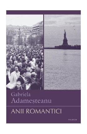 eBook Anii romantici - Gabriela Adamesteanu