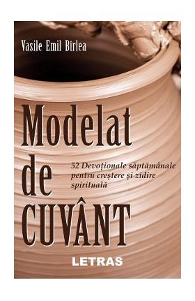 eBook Modelat de cuvant - Vasile Emil Birlea