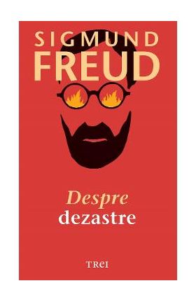 eBook Despre dezastre - Sigmund Freud