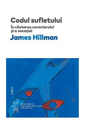 eBook Codul sufletului. In cautarea caracterului si a vocatiei - James Hillman