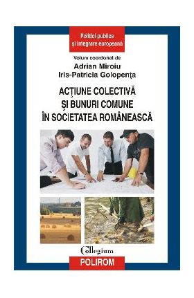 eBook Actiune colectiva si bunuri comune in societatea romaneasca - Iris-Patricia (coord.) Golopenta