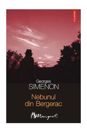 eBook Nebunul din Bergerac - Georges Simenon
