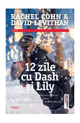 eBook 12 zile cu Dash si Lily - Rachel Cohn