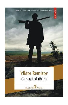 eBook Cenusa si tarina - Viktor Remizov