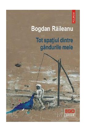 eBook Tot spatiul dintre gandurile mele - Bogdan Raileanu