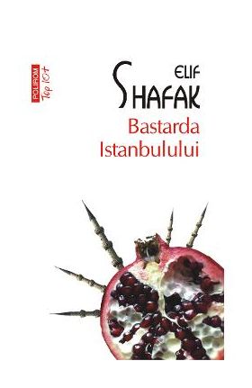 eBook Bastarda Istanbulului - Elif Shafak