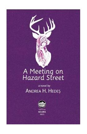 A Meeting on Hazard Street - Andrea H. Hedes