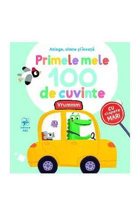 Primele mele 100 de cuvinte. Vrummm