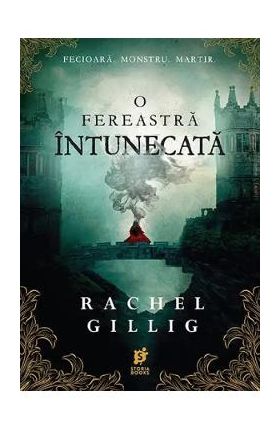 O fereastra intunecata. Seria Regele pastor Vol.1 - Rachel Gillig