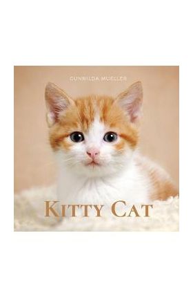 Kitty Cat: Kittens Picture Book for Dementia and Alzheimer's Patients - Gunnilda Mueller