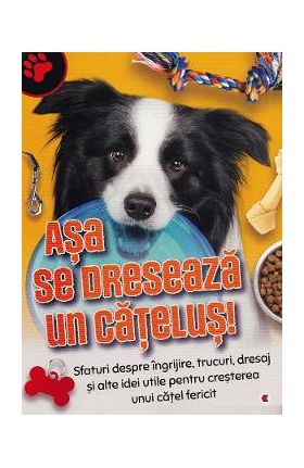 Asa se dreseaza un catelus!