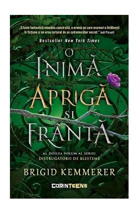 eBook O inima apriga si franta. Seria Distrugatorii de blesteme Vol.2 - Brigid Kemmerer