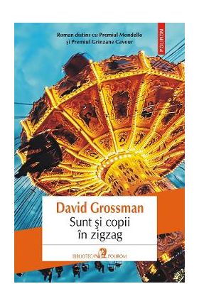 eBook Sunt si copii in zigzag - David Grossman