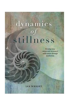 Dynamics of Stillness - Ian Wright