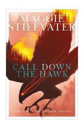 Call Down the Hawk - Maggie Stiefvater