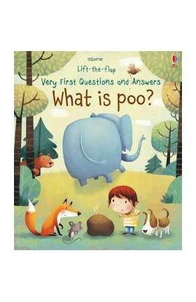 What is Poo?