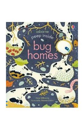 Peep Inside Bug Homes - Anna Milbourne