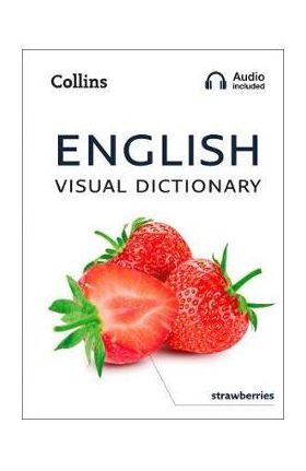 English Visual Dictionary -