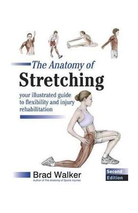 Anatomy of Stretching