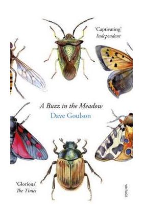 Buzz in the Meadow