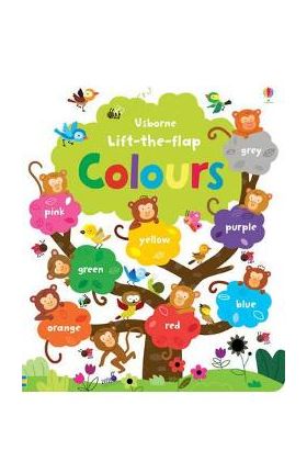 Lift the Flap Colours Book