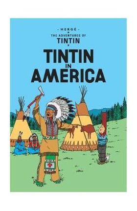 Tintin in America