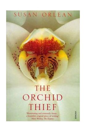 Orchid Thief