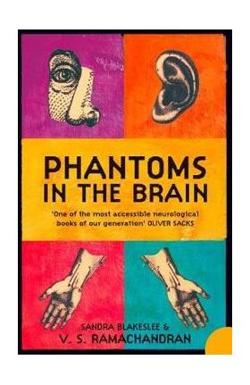 Phantoms in the Brain