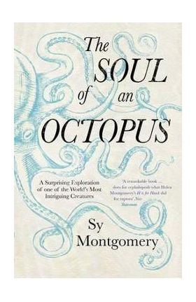 Soul of an Octopus