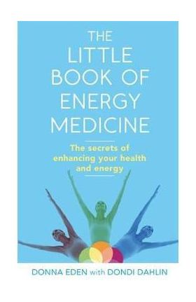 Little Book of Energy Medicine