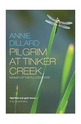 Pilgrim at Tinker Creek