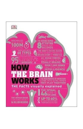 How the Brain Works -