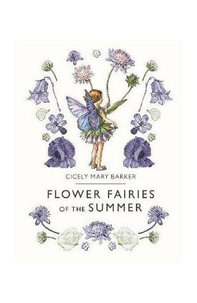 Flower Fairies of the Summer