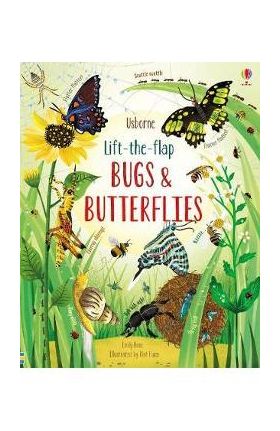 Lift-the-Flap Bugs and Butterflies