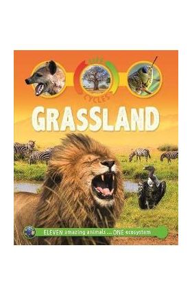 Life Cycles: Grassland