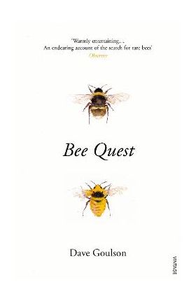 Bee Quest