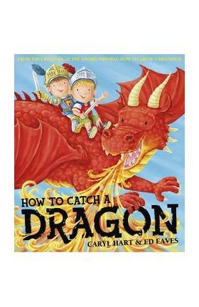 How To Catch a Dragon