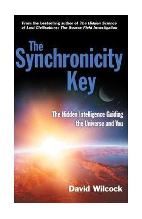 Synchronicity Key - David Wilcock